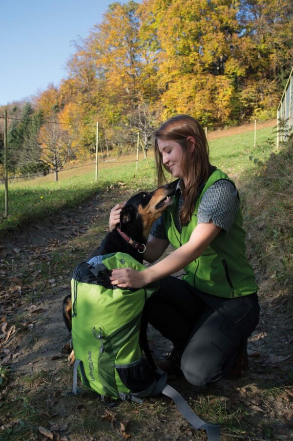 Spaziergang mit Hund und Rucksack in Bildstein
